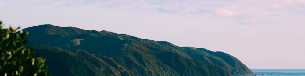 featured tradesmen wellington New Zealand