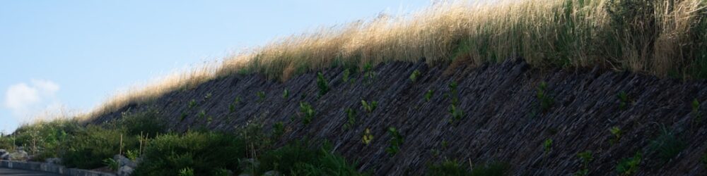 retaining wall consent New Zealand