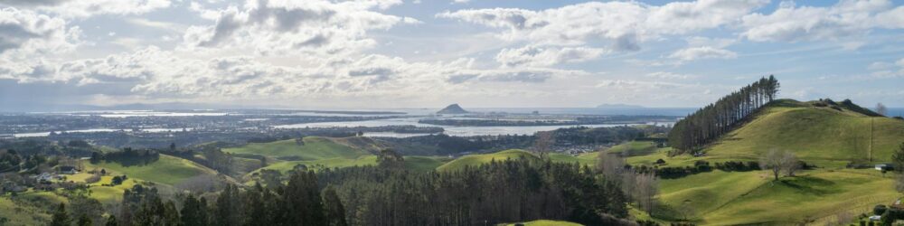 Tauranga building consents New Zealand