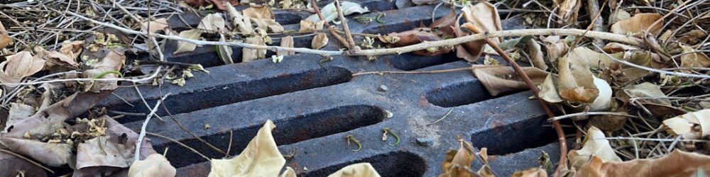 landscaping drainage systems New Zealand