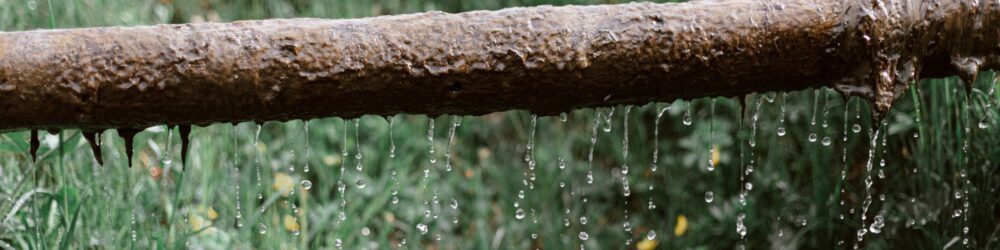 landscaping drainage solutions New Zealand